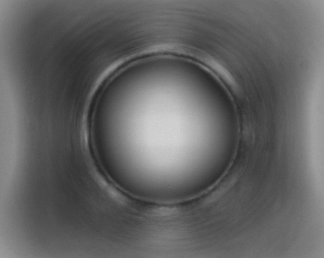 X0000113960888200910021523