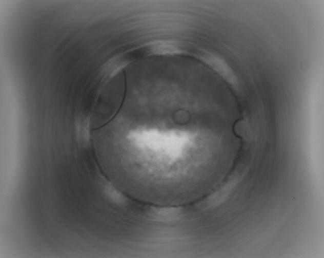 X0000113960889200910021523