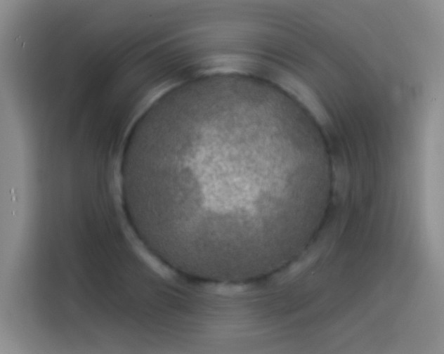 X0000113960890200910021523