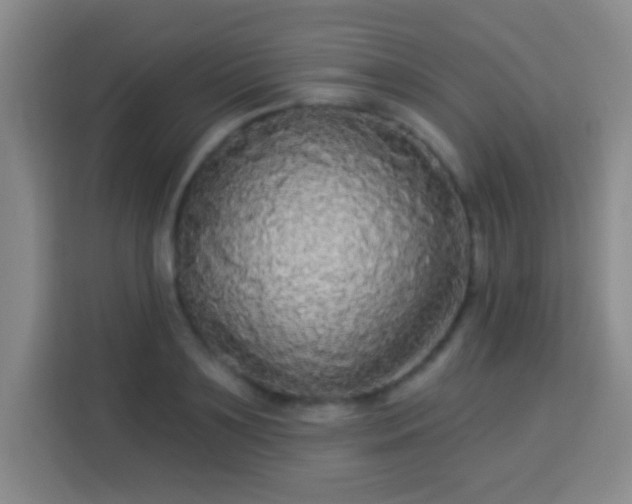 X0000113960891200910021523