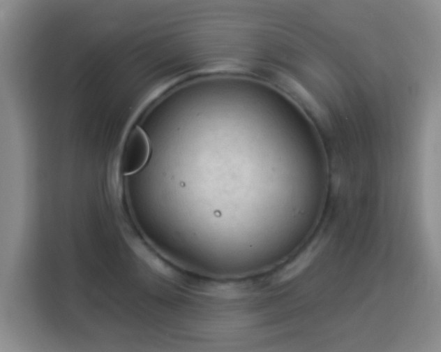 X0000113960892200910021523