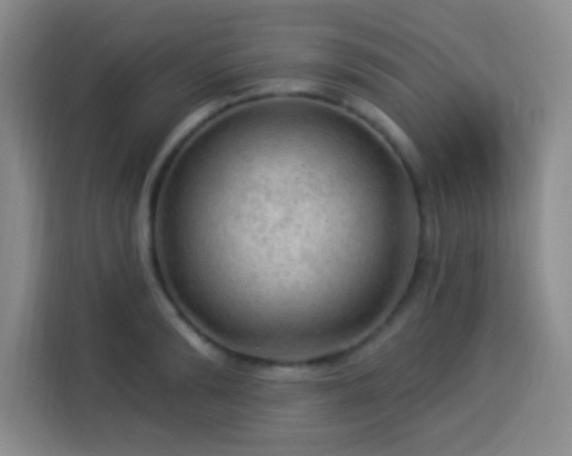 X0000113960894200910021523