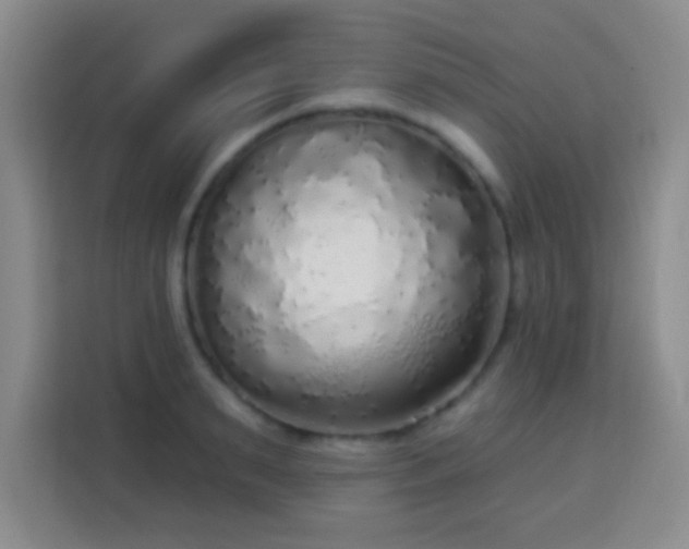 X0000113960895200910021523