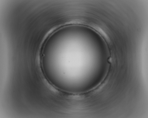 X0000113960896200910021523