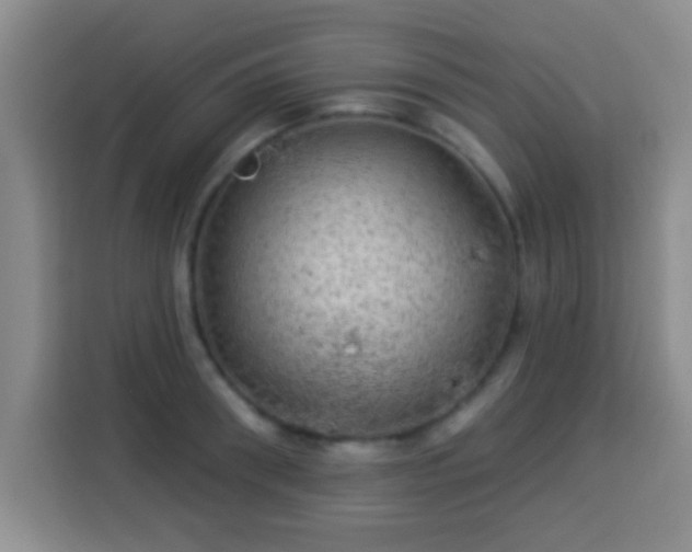 X0000113960898200910021523