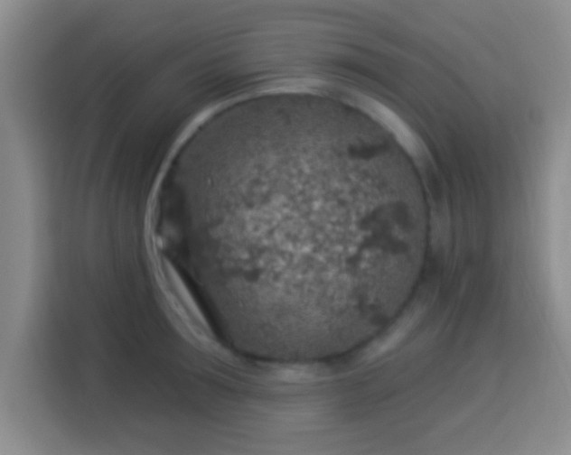 X0000113960899200910021523