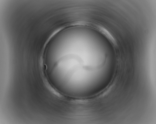 X0000113960900200910021523