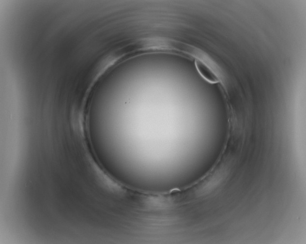 X0000113960901200910021523