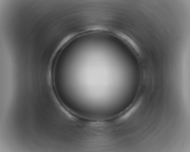 X0000113960902200910021523