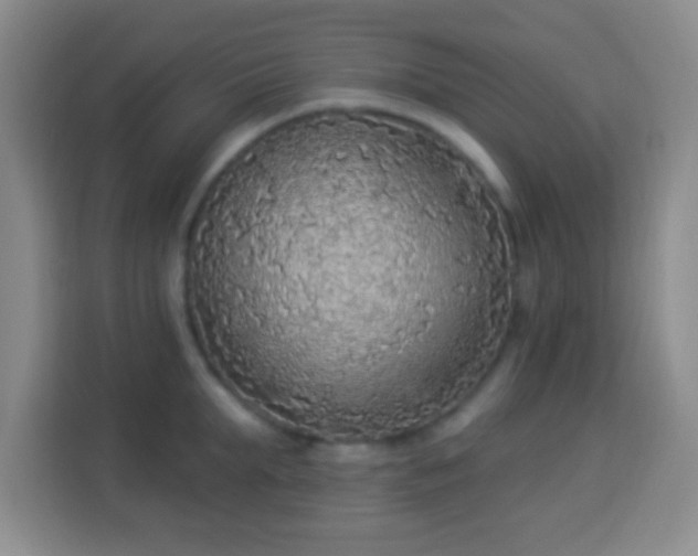 X0000113960903200910021523