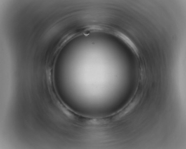 X0000113960906200910021523