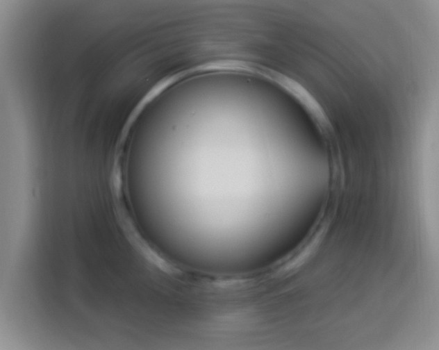 X0000113960908200910021523