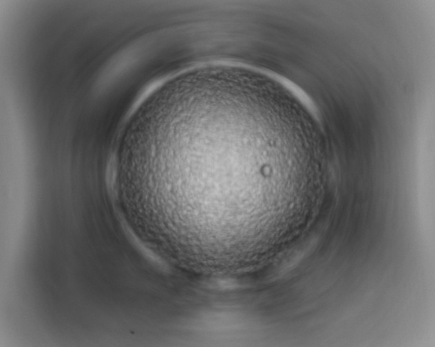 X0000113960911200910021523