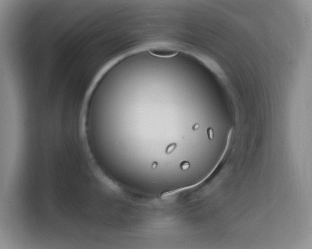 X0000113960912200910021523