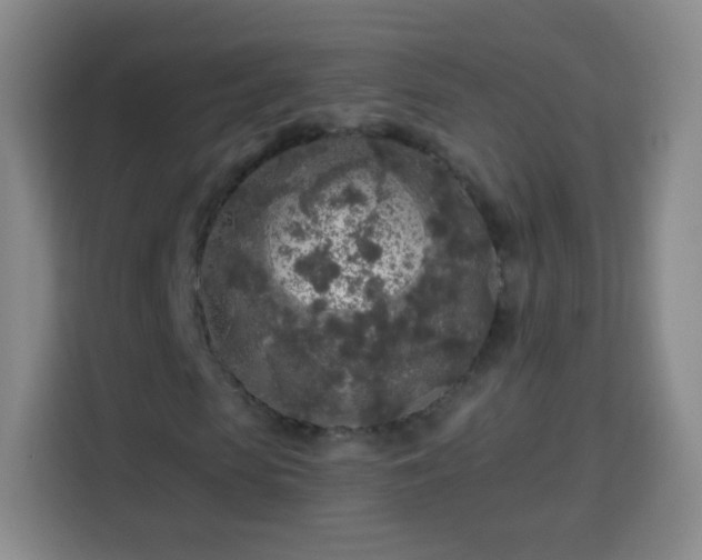 X0000113960913200910021522