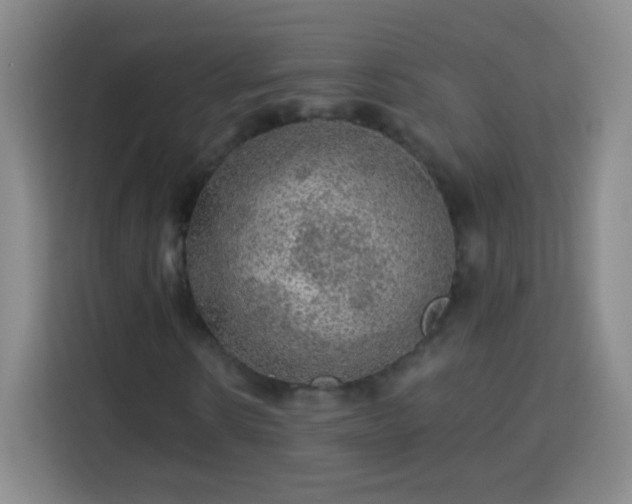 X0000113960914200910021522