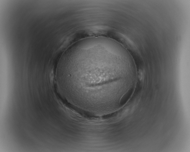 X0000113960915200910021522