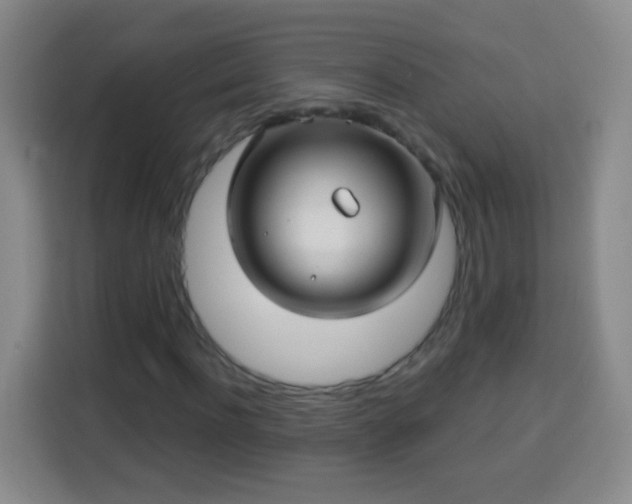 X0000113960916200910021522