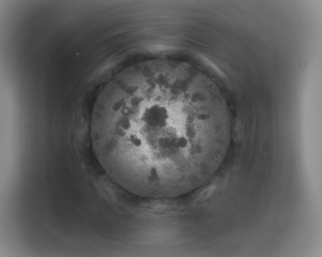 X0000113960917200910021522