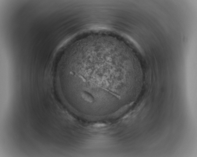 X0000113960919200910021522