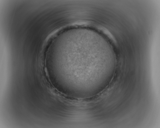 X0000113960920200910021523