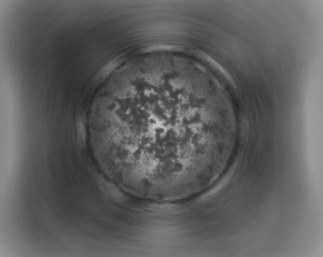 X0000113960921200910021523