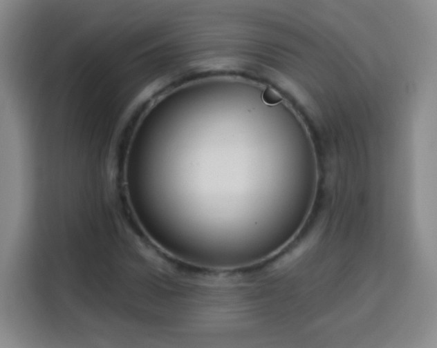 X0000113960922200910021523