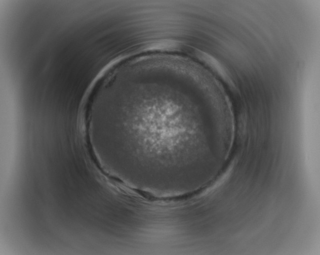 X0000113960923200910021523