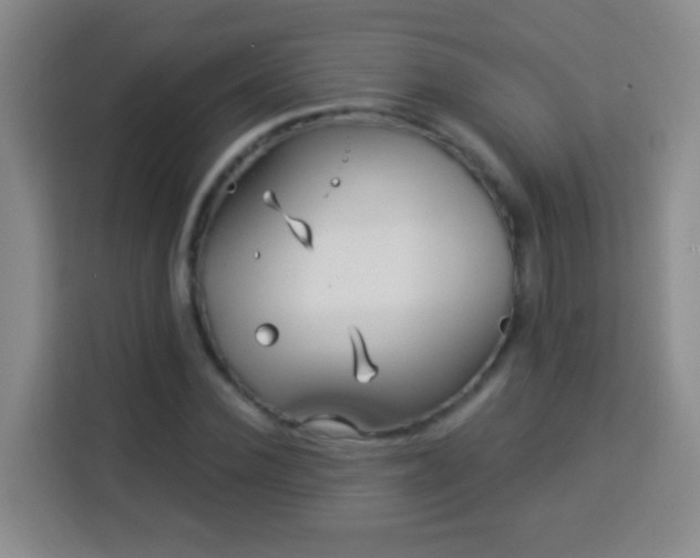 X0000113960924200910021523