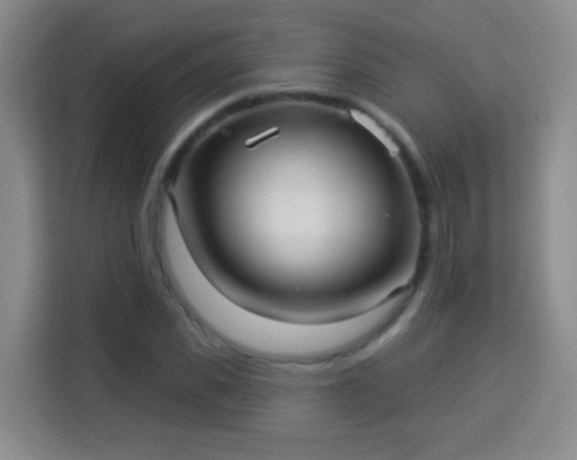 X0000113960925200910021523