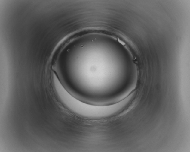 X0000113960926200910021523