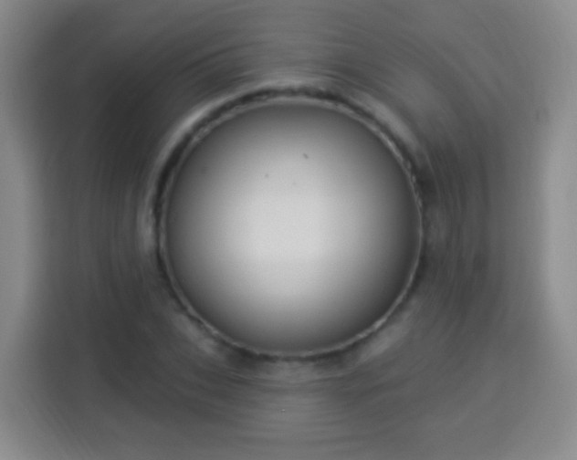 X0000113960927200910021523