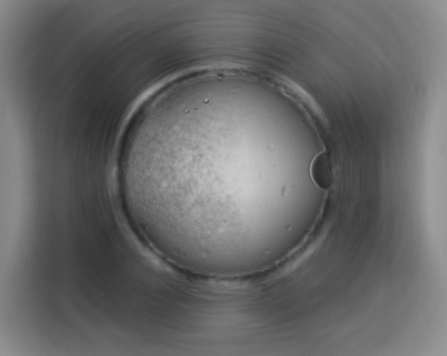 X0000113960928200910021523