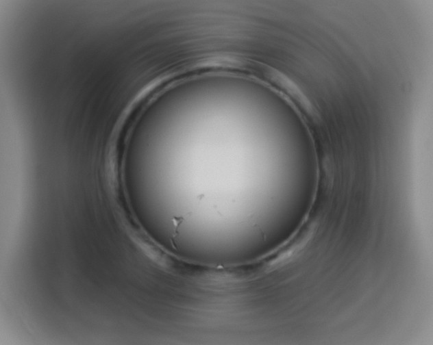 X0000113960931200910021523