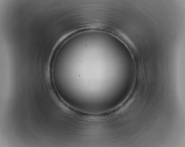 X0000113960932200910021523