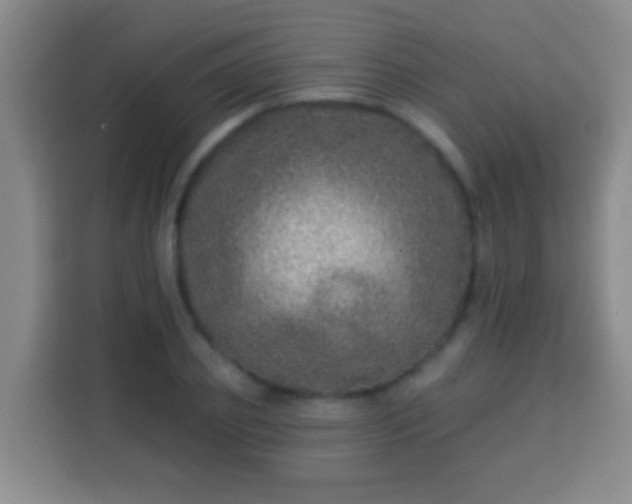 X0000113960933200910021523