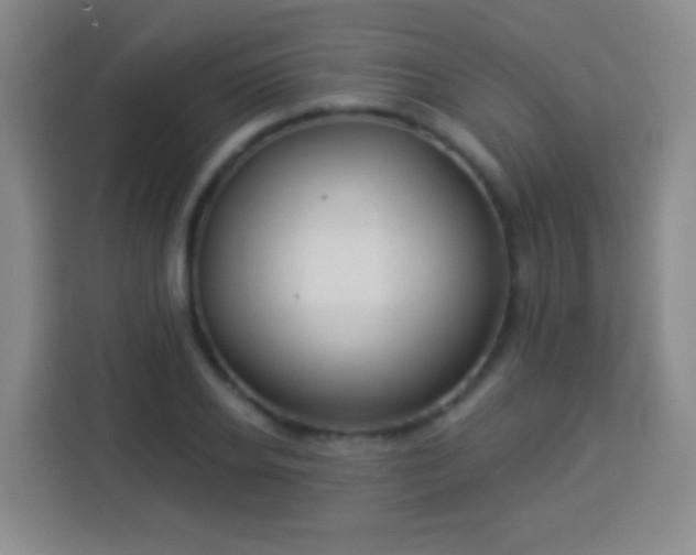 X0000113960934200910021523