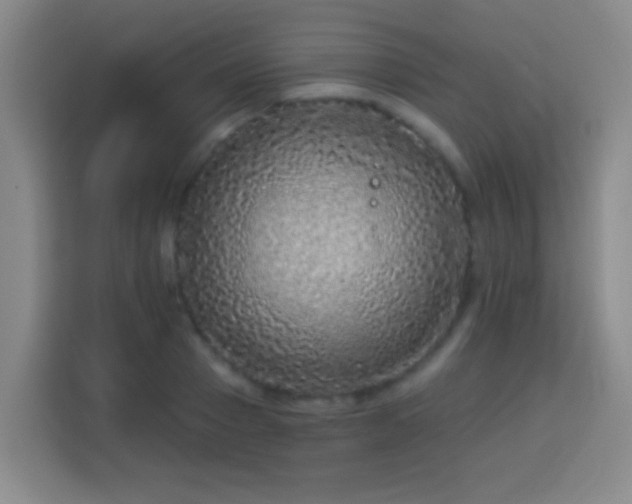 X0000113960937200910021523