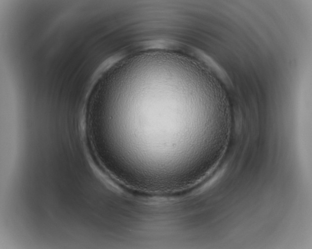 X0000113960938200910021523