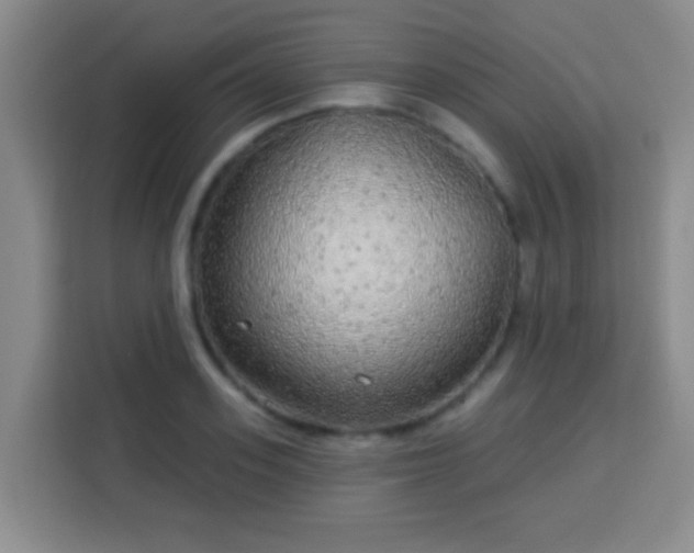 X0000113960939200910021523