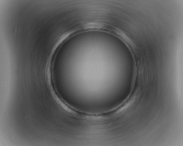 X0000113960941200910021523