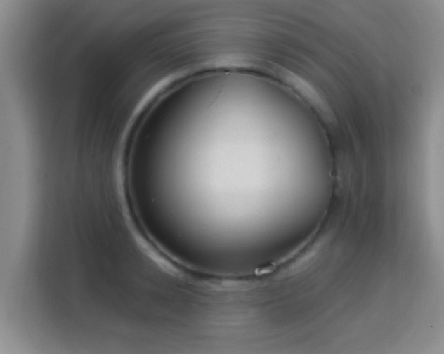 X0000113960942200910021523