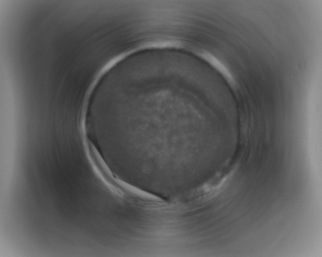 X0000113960943200910021523