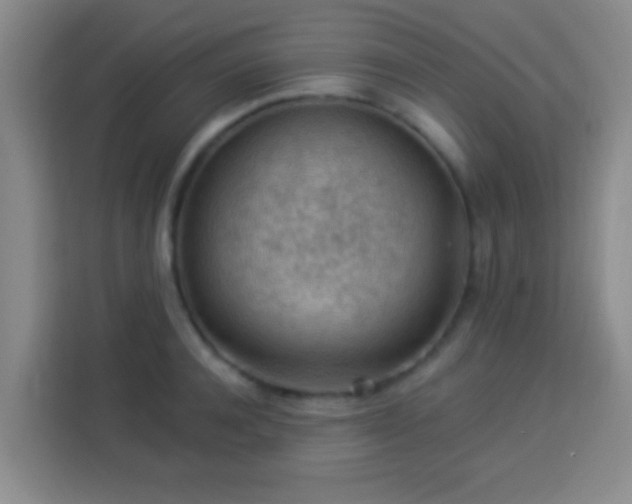 X0000113960944200910021523