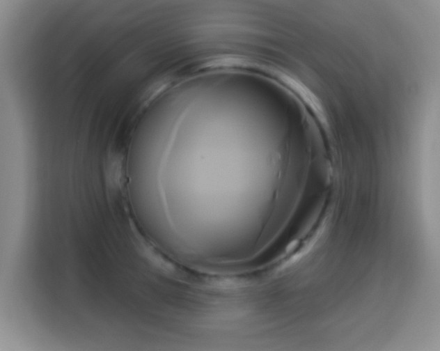 X0000113960945200910021523