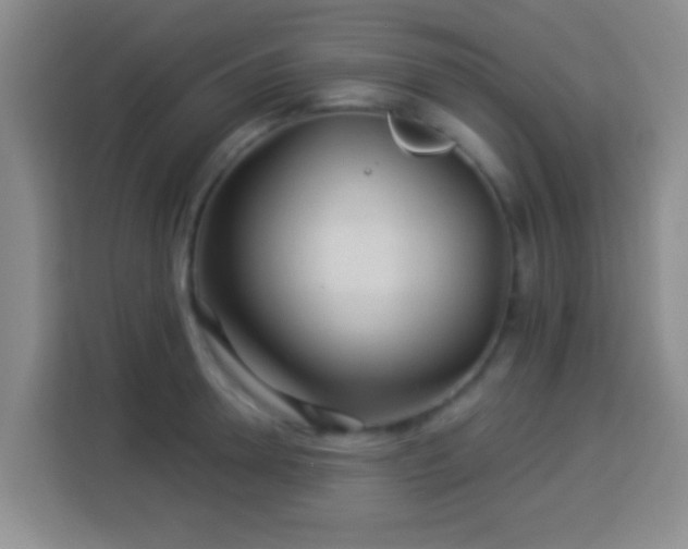 X0000113960946200910021523