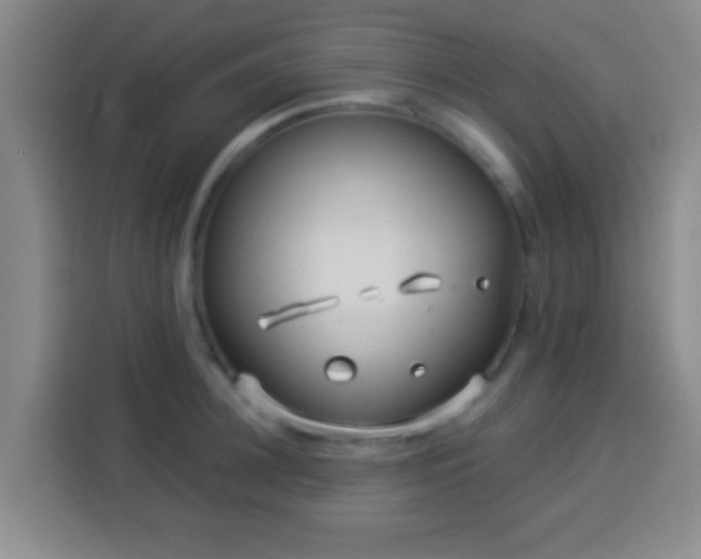 X0000113960948200910021523