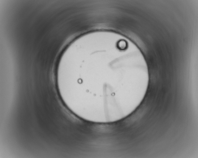 X0000113960950200910021523