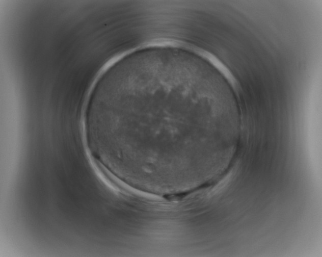 X0000113960951200910021523