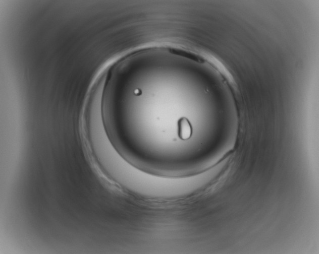 X0000113960952200910021523